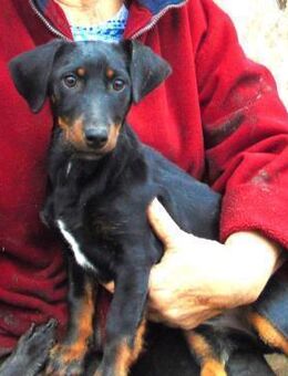 Junge Krista möchte gerne reisen - Olsberg