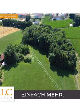 11.175?m² Freiheit - idyllisches Wohnen in Loiching/Wendelskirchen - Loiching