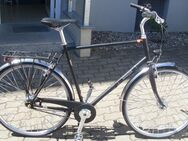 BREEZER Downtown 7+ Herren-Trekkingfahrrad (NEU) - Schweinfurt
