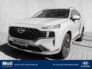 Hyundai Santa Fe, Signature, Jahr 2021 - Köln