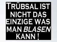 bj gesucht von einer Frau - Neubrandenburg