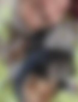 Mel*** - Weilmünster