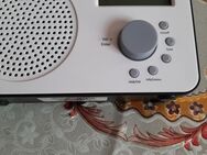 DAB plus Radio, TechiSat, VIOA2 - Mügeln