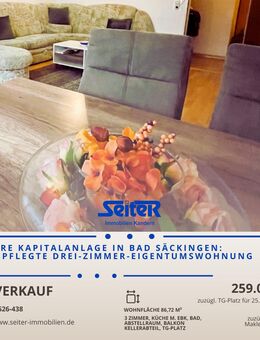 Gepflegte Drei-Zimmer-Wohnung in Bad Säckingen - ruhig und doch zentral - Bad Säckingen