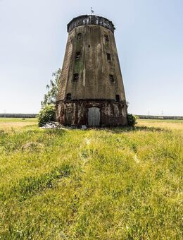 Historische Holländermühle mit unverbautem Weitblick - Dahme-Mark Zentrum