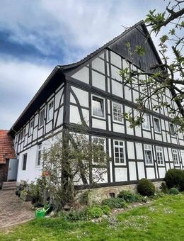 Historisches Fachwerkhaus für echte Dorfmenschen - Lemgo