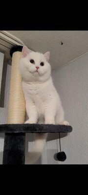 Profil