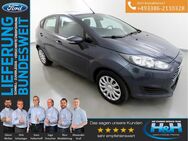 Ford Fiesta, 1.0 Trend PPS, Jahr 2015 - Premnitz