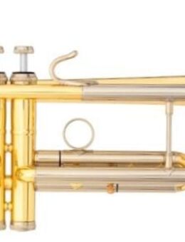 B & S Challenger Professional Trompete, Mod. 3137 - L. Neuware - Hagenburg