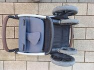 Buggy Avus von ABC Design - Pleidelsheim