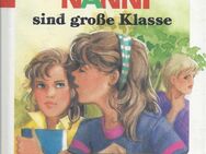 Hanni und Nanni sind große Klasse, Enid Blyton, Schneiderbuch - Sebnitz