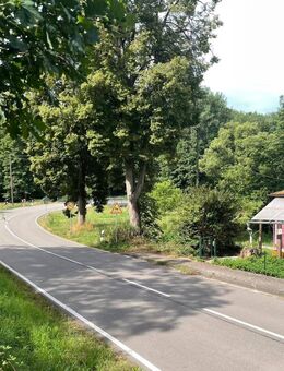 Naturgrundstück mit Altbestand - In Feldrandlage und mit unverbaubarer Aussicht - Hornbach