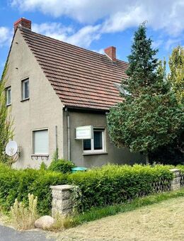 Großes Einfamilienhaus mit Potenzial zum Zweifamilienhaus auf 4.695 m² Grundstück – mit Gewächshäusern, Blockhütte & mehr! - Zahna-Elster
