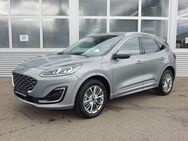 Ford Kuga 2.5 Duratec PHEV VIGNALE - Schramberg