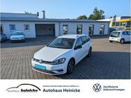 VW Golf Variant, 1.6 TDI Golf VII IQ DRIVE A, Jahr 2020 - Oebisfelde-Weferlingen Siestedt