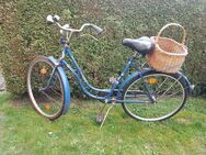 Original Tripad Fahrrad, Oldtimer für Sammler von Triepad - Neunkirchen-Seelscheid