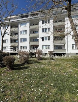 Traumhafte Wohnung mit umlaufendem Balkon - Ihr persönliches Paradies mit Ausblick - Worms