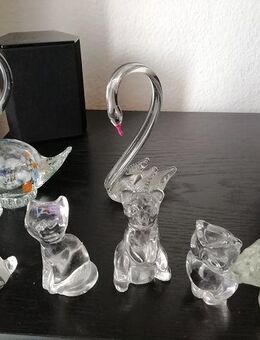 Glastiere zu verkaufen - Berlin Charlottenburg-Wilmersdorf
