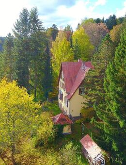 LANDHAUS - Fabelhaft liebenswerte Familienvilla im grünen Stadtrand! - Bad Berka
