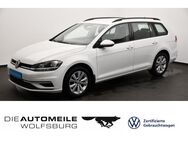 VW Golf Variant, 1.5 TSI Golf 7 VII Comfortline, Jahr 2020 - Wolfsburg