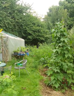 Gemeinschaftsgarten sucht noch nette Mitgärtner - Geilenkirchen