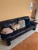 Sitzgarnitur in Leder in 89423