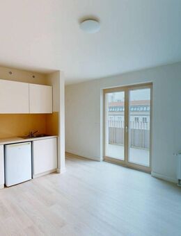 ** Gemütliche 1-Zimmer-Wohnung an der Elbe ** - Dresden