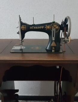 Omas Dürkopp Nähmaschine, versenkbar - Kassel Brasselsberg