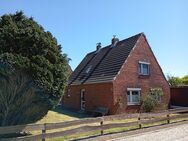 Finden Sie Ihr Glück an der Nordssee - Friedrichskoog