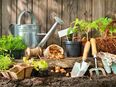 22 Jähriger Sucht Gartenarbeit Für Taschengeld Zwischen (15-25 Euro) In Gommern in 39245