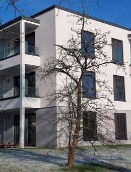 hochwertige 2 Zimmer Wohnung mit Terrasse und Seeblick - Grünheide (Mark)