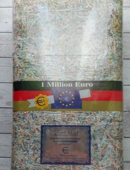 Euro Banknoten - Bad Freienwalde (Oder)