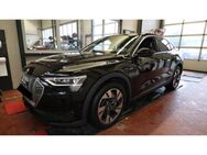 Audi e-tron, Spb 50 quattro, Jahr 2021 - Binzen