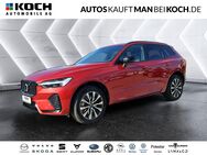 Volvo XC60, B4 Plus Dark ° H K, Jahr 2023 - Berlin