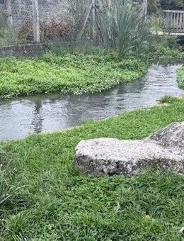 # Schnäpschen Preis # Einfamilienhaus in der malerischen Gemeinde - Thüngen