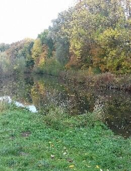 Musikbegeisterter Herzensmensch (40) sucht Herzensmenschin - Hildesheim