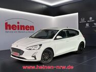 Ford Focus, 1.0 Mild-Hybrid Trend 16Z ALLWETTER, Jahr 2021 - Werne