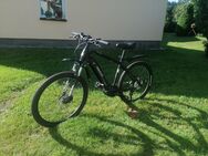 E Bike Maxtron MT15x - Crinitzberg