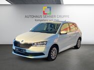 Skoda Fabia, 1.0 MPI Fabia Lim Cool Plus, Jahr 2019 - Markdorf