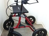 "ROLLATOR-DIETZ-TYPE: TAIMU XC 150kg-Neuwertig". - Dresden