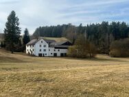 Alleinlage ° Wohnhaus mit Stallungen und viel Land - Höchstädt (Fichtelgebirge)