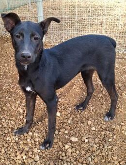 Prue - Lorsch (Karolingerstadt)