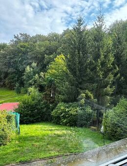 ruhig und idyllisch gelegenes Einfamilienhaus direkt am Waldrand in Meisdorf mit Finnhütte - Falkenstein (Harz)