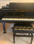 Zum Verkauf steht ein wunderschöner Petrof Flügel P III (Klavier, Piano) in 91341