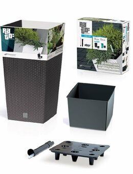 *ANGEBOT*Rattan Blumentopf Blumenkasten mit Füßen Blumenkübel mit System zur Bewässerung *Farbwahl* - Wuppertal
