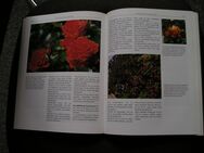 Neues Buch - Der Ziergarten - Auch ein schönes Geschenk! - Leipzig Ost