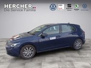 VW Golf, 1.5 TSI VIII Lim Life, Jahr 2023 - Riesa