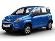 Fiat Panda, # # # # #, Jahr 2022 - Weiden (Oberpfalz)