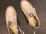 Suche getragene Converse Chucks - München