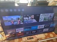 Hisense LED TV 65 Zoll smart - Kassel